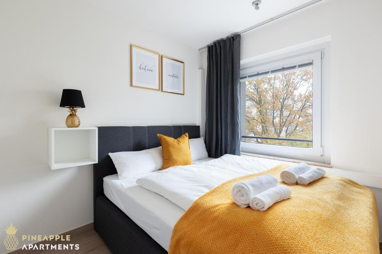 Pineapple Apartments Dresden Zwinger IX - 80 Qm - 1X Free Parking - Luaran gambar